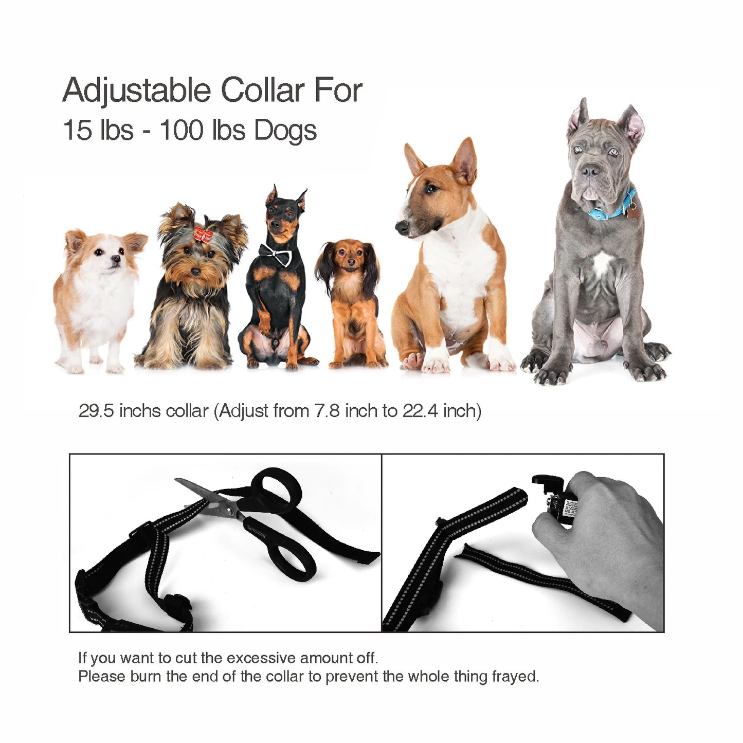 Replacement 2-in-1 Auto Bark Collar for DB600 Dog Training & Bark Collar