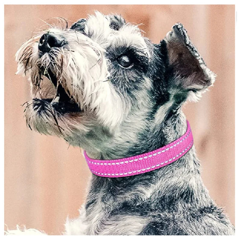 Dog Training Device Replacement Collar