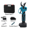 Kit 3 (Full Kit with Pruner + Battery + Charger + Box and Accessories)
