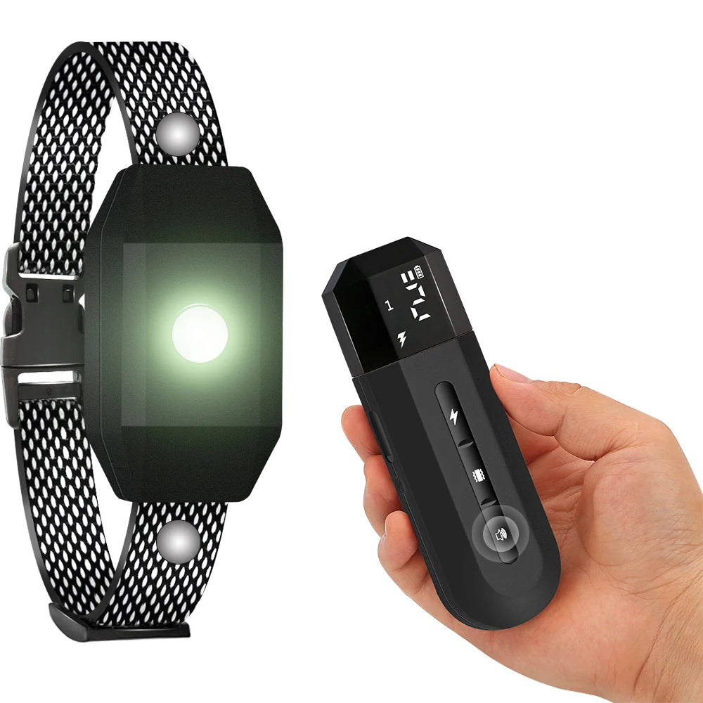 Dog Shock Collar with Remote