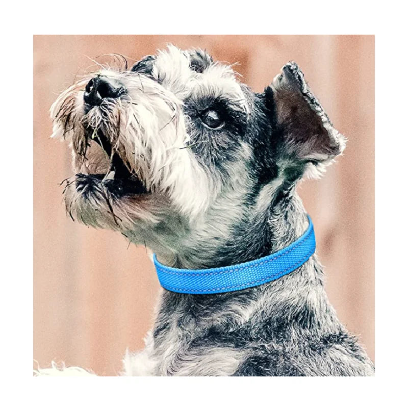 Dog Training Device Replacement Collar