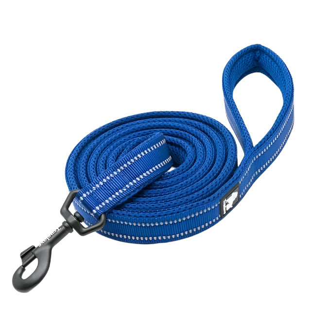 Soft Pet Leash with Reflective Nylon Mesh Padding
