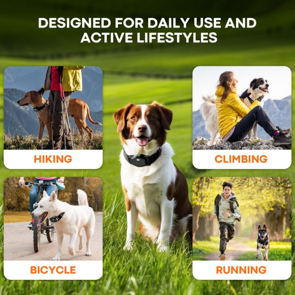 Astko T810 Pro 4-in-1 Wireless Dog Fence and Training System