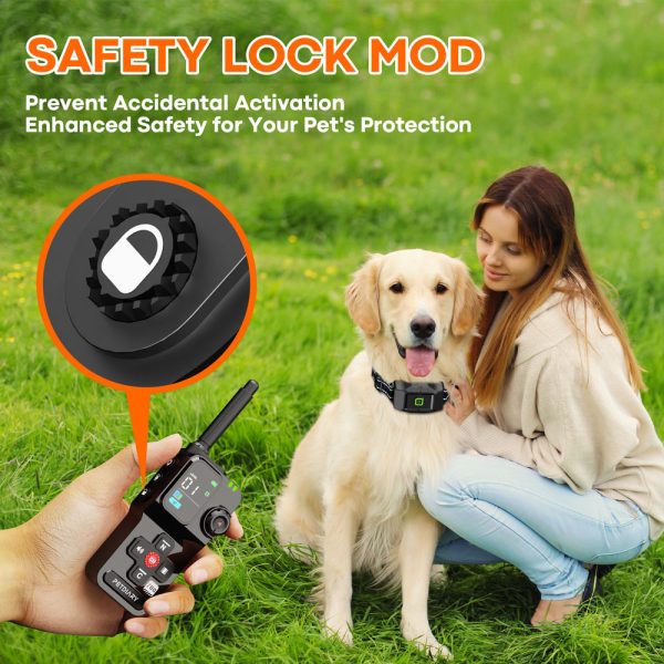 Astko F700 PLUS 3-in-1 Wireless GPS Dog Containment and Training System