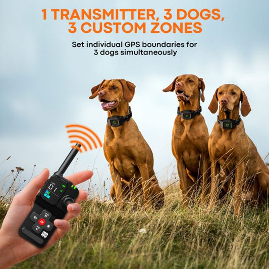 Astko F700 PLUS 3-in-1 Wireless GPS Dog Containment and Training System