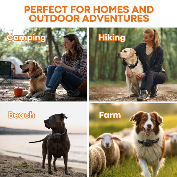 Astko F700 PLUS 3-in-1 Wireless GPS Dog Containment and Training System