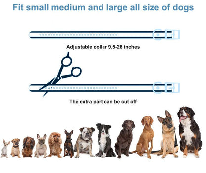 T720 2-in-1 Dog Training Collar (Manual Training + Auto Bark Control)