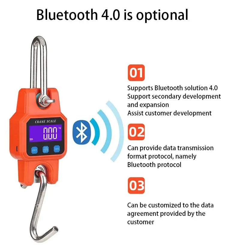 Portable Electronic Hook Scale