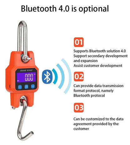 Portable Electronic Hook Scale