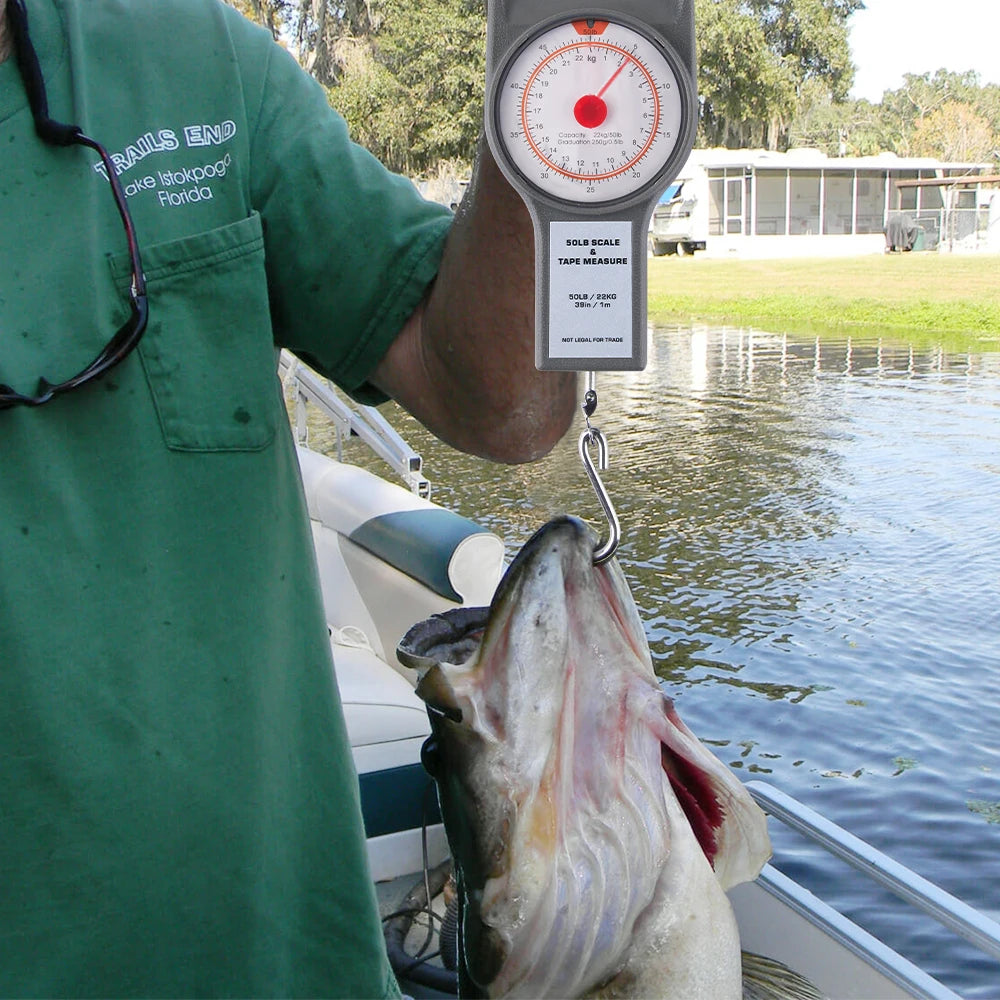 Fish Scale Rider Portable Fishing Scale - Haraps.com