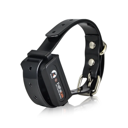2-IN-1 Dog Training Collar with Remote