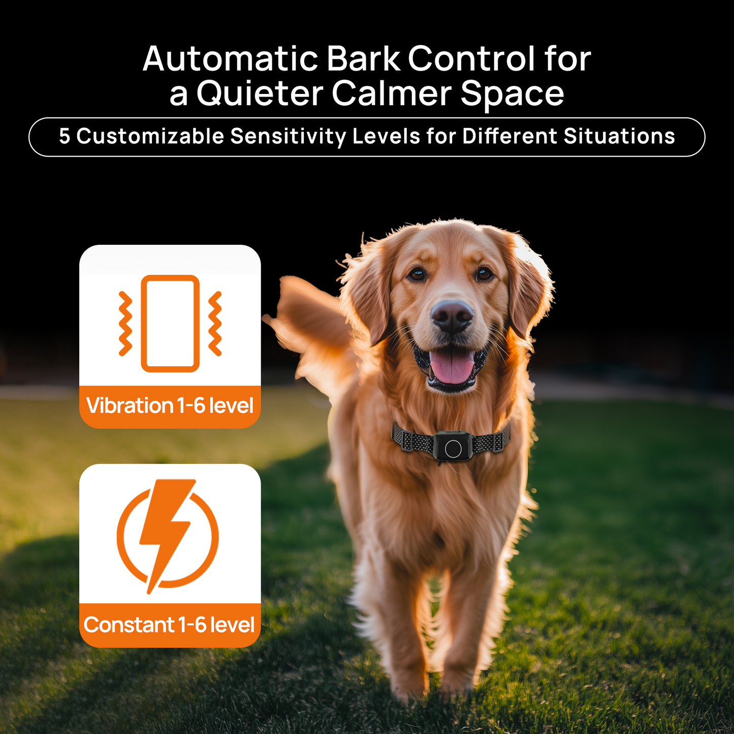 Astko T800 Pro 4-in-1 Wireless Dog Fence System