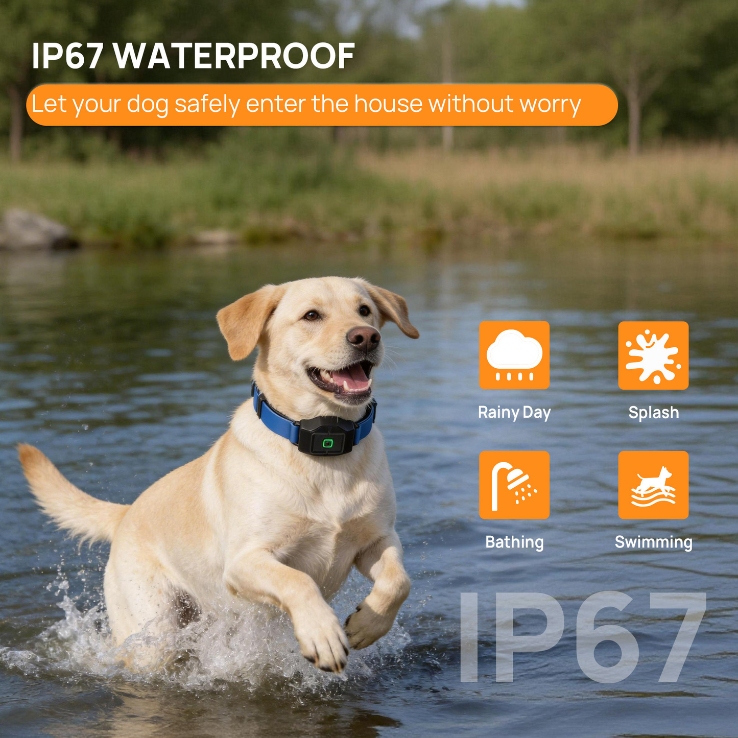 ASTKO F860 GPS Outdoor Wireless Dog Fence (App‑Based Smart Boundary System with Health Monitoring)
