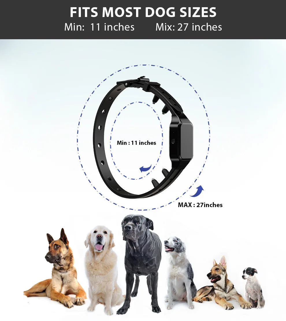 Dog Training Collar with Remote – 1000ft Range