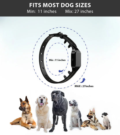 Dog Training Collar with Remote – 1000ft Range