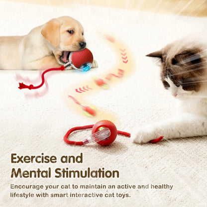 Cat Interactive Smart Ball Toy – Rechargeable Rolling Ball with Tail, Obstacle Avoidance & LED Modes