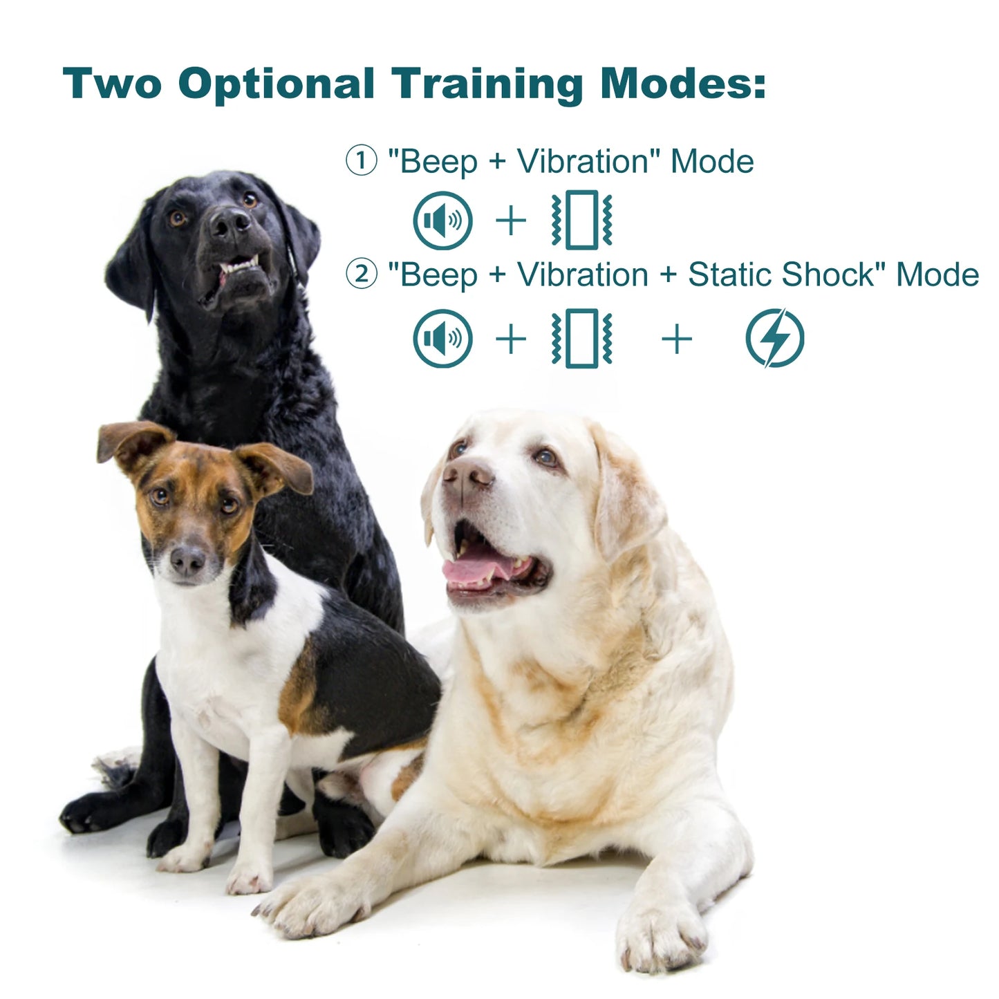 Advanced Waterproof Rechargeable Dog Training Collar with Colour Display