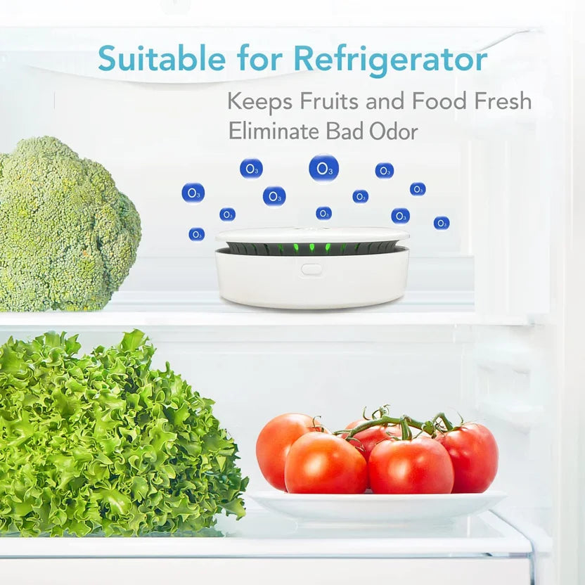 Portable Ozone & Ionic Air Purifier