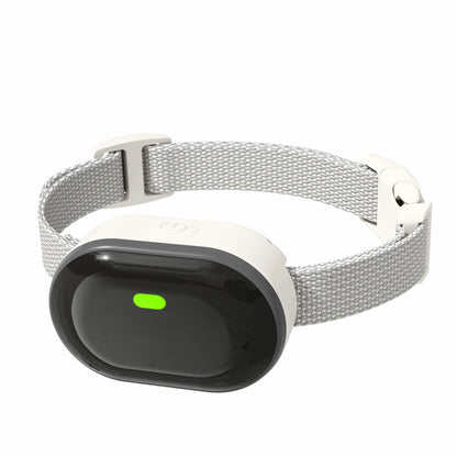 Small Dog Training Collar with Remote Control (300M)