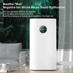 Air Purifier: HEPA Filter with Negative Ion Technology
