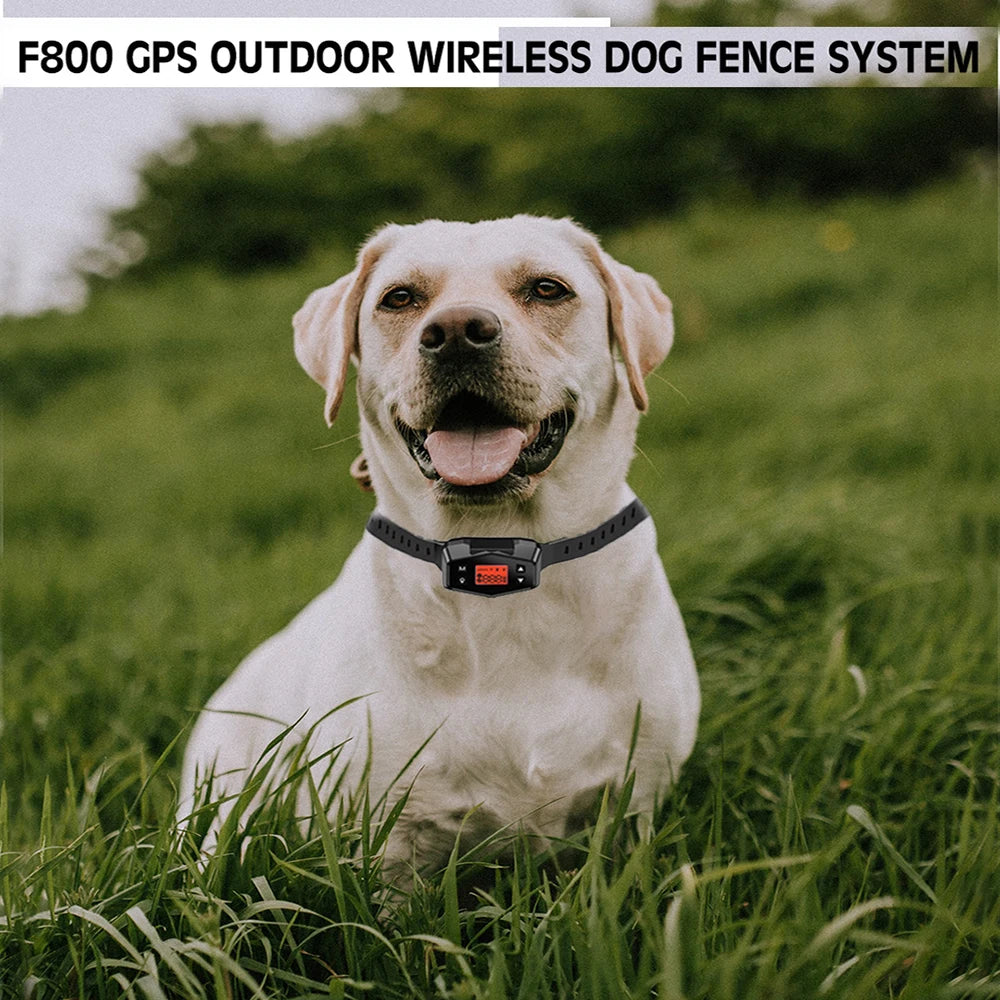 F800 Outdoor GPS Wireless Electronic Dog Fence System  and Training Collar