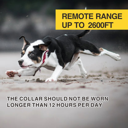 2-in-1 Dog Training and Anti-Bark Collar