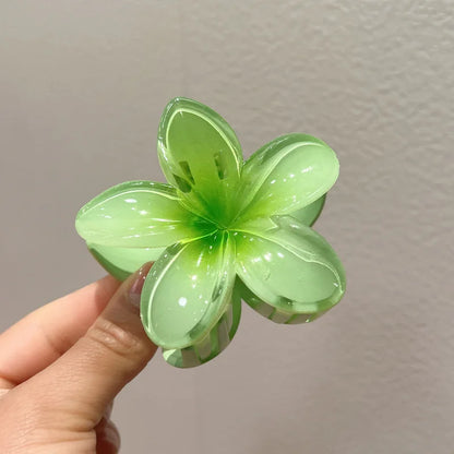 Hawaiian Gradient Hair Claw Clip