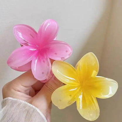 Hawaiian Gradient Hair Claw Clip