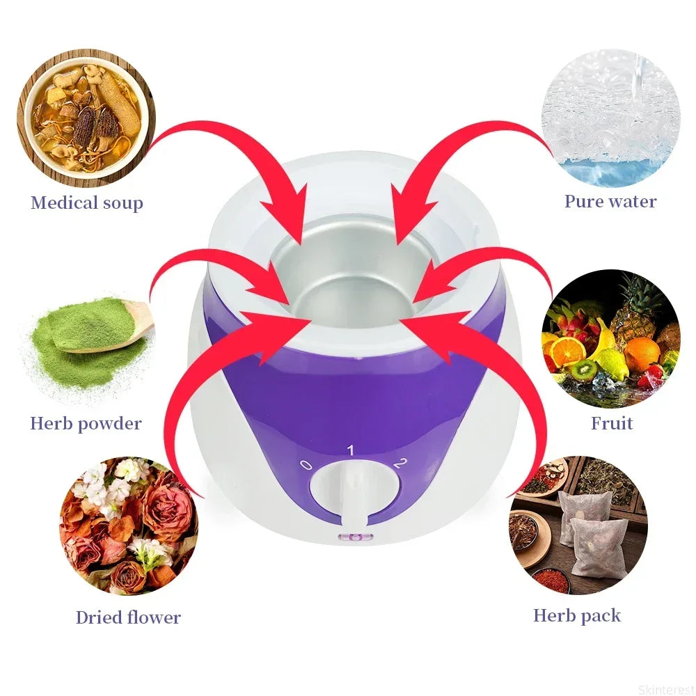 Ionic Facial Steamer