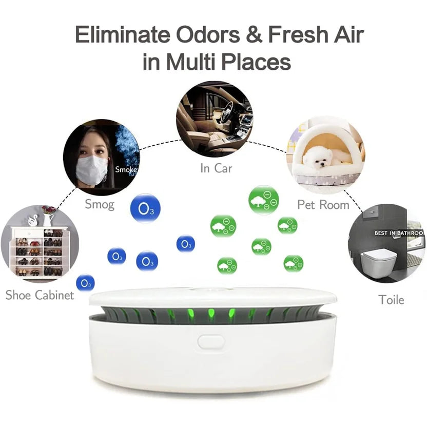 Portable Ozone & Ionic Air Purifier