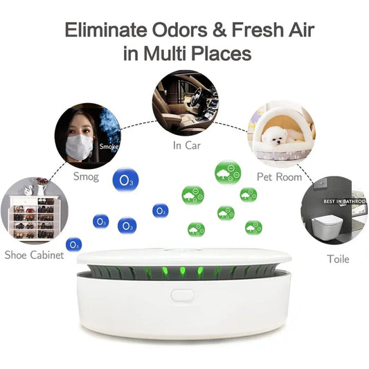 Portable Ozone & Ionic Air Purifier