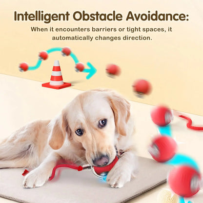 Cat Interactive Smart Ball Toy – Rechargeable Rolling Ball with Tail, Obstacle Avoidance & LED Modes