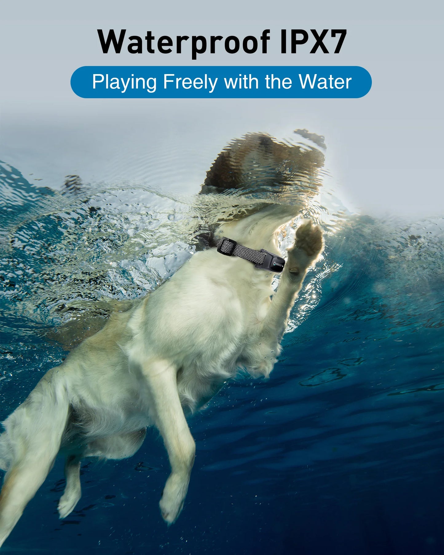 T50 Dogs Training Electric Shock Collar for Pets (3300ft Range)