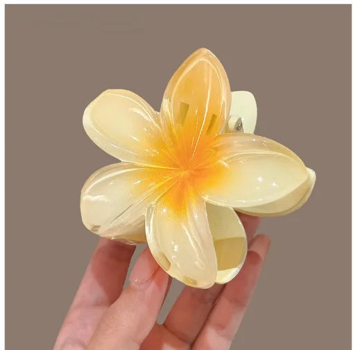 Hawaiian Gradient Hair Claw Clip