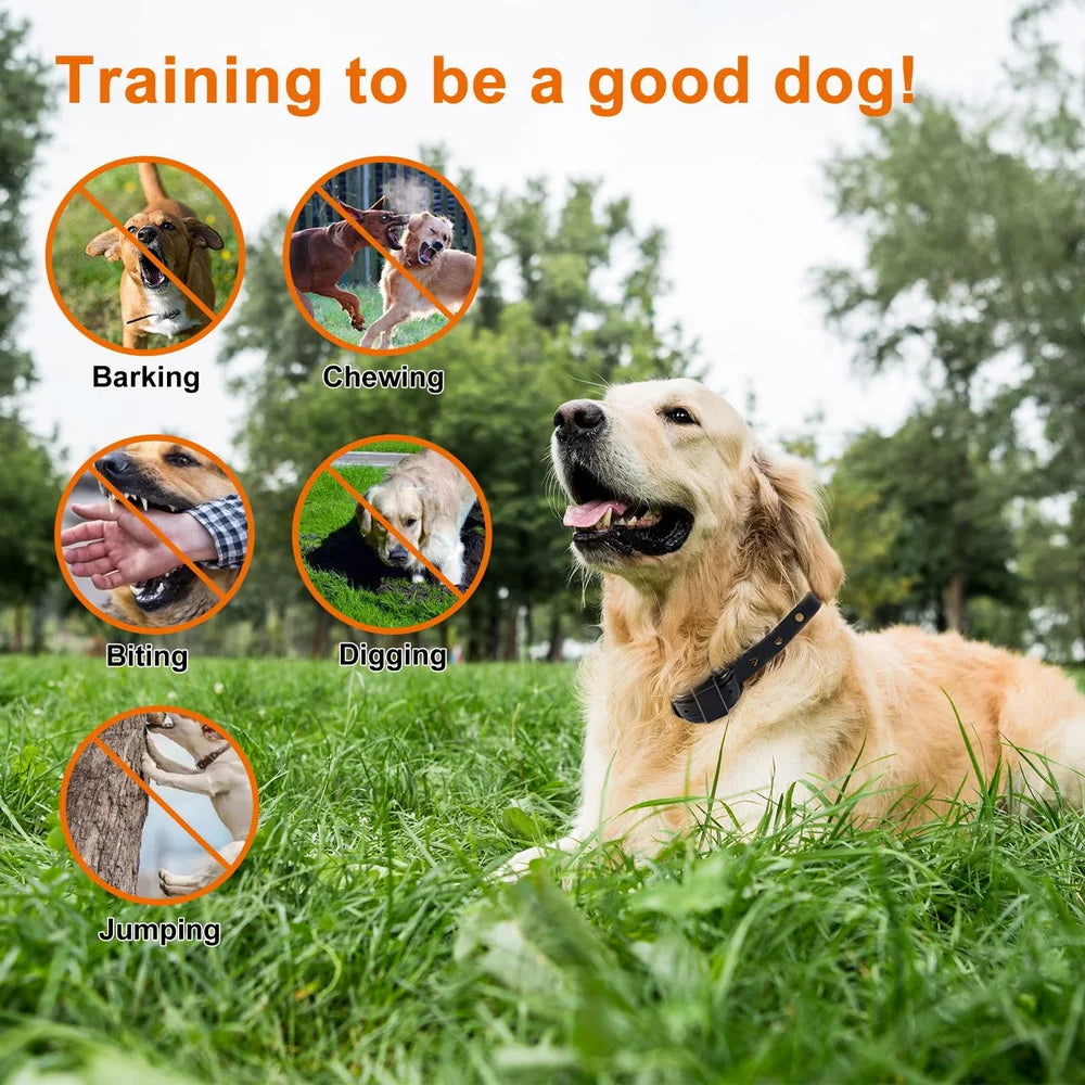 Professional Dog Training Collar with Walkie-Talkie Functionality