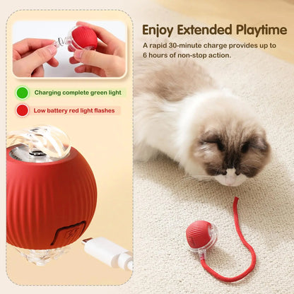 Cat Interactive Smart Ball Toy – Rechargeable Rolling Ball with Tail, Obstacle Avoidance & LED Modes