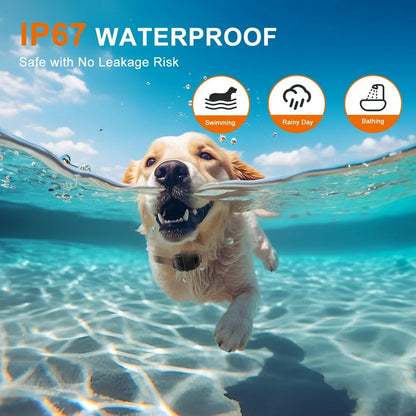 Professional Dog Training Collar with Walkie-Talkie Functionality