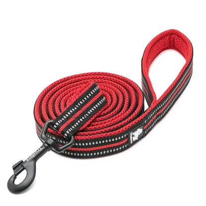 Soft Pet Leash with Reflective Nylon Mesh Padding