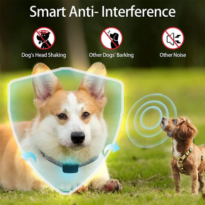 Pet Dog USB Anti-Barking Device