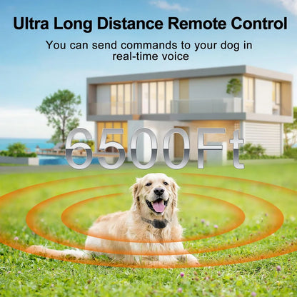 Professional Dog Training Collar with Walkie-Talkie Functionality
