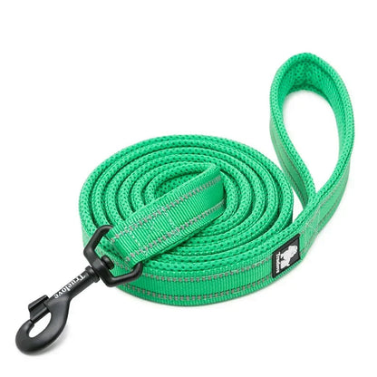 Soft Pet Leash with Reflective Nylon Mesh Padding