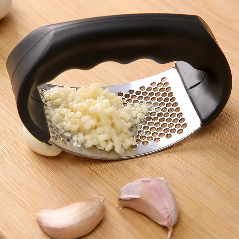 Stainless Steel Garlic Press