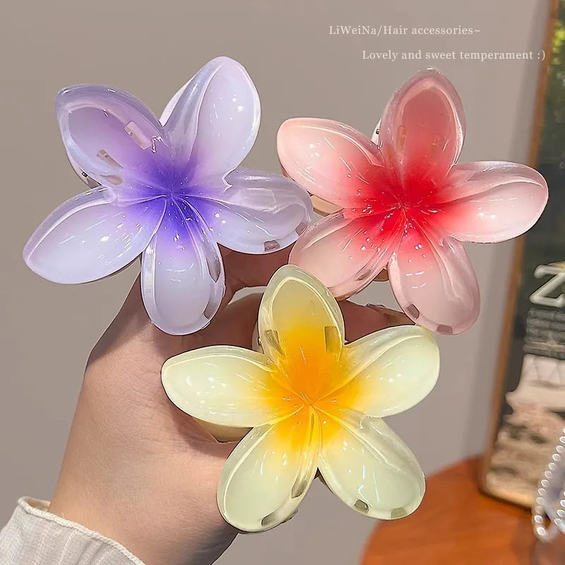 Hawaiian Gradient Hair Claw Clip