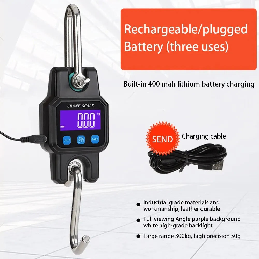 Portable Electronic Hook Scale