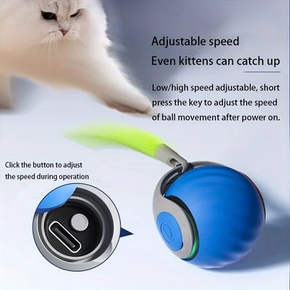 Smart Automatic Cat Toy Ball – USB Rechargeable Interactive