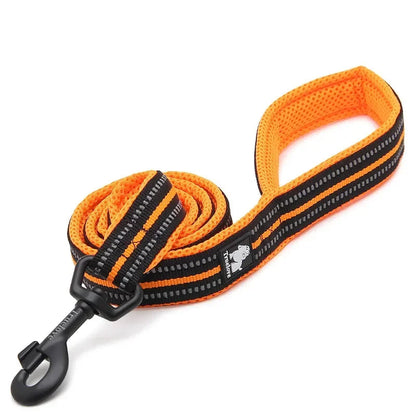 Soft Pet Leash with Reflective Nylon Mesh Padding