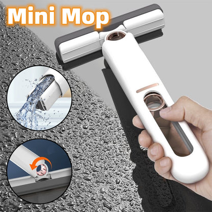 Mini Cleaning Sponge Mop/Squeegee