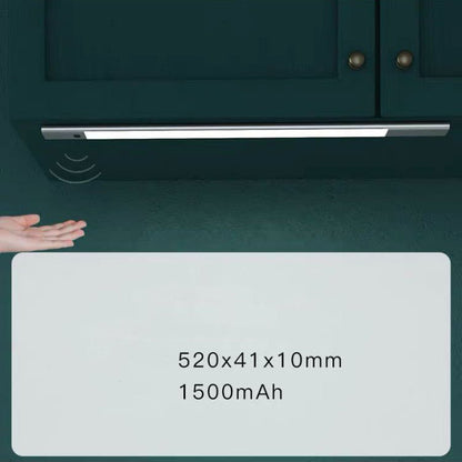 Rechargeable Smart LED Induction Light
